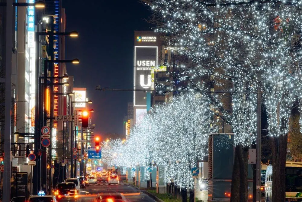 Hills Sapporo 201 Daire Japonya